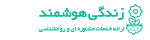 زندگی هوشمند